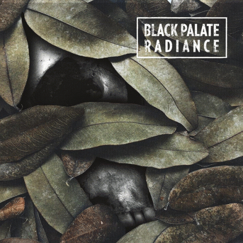 Radiance (PL) : Black Palate - Radiance